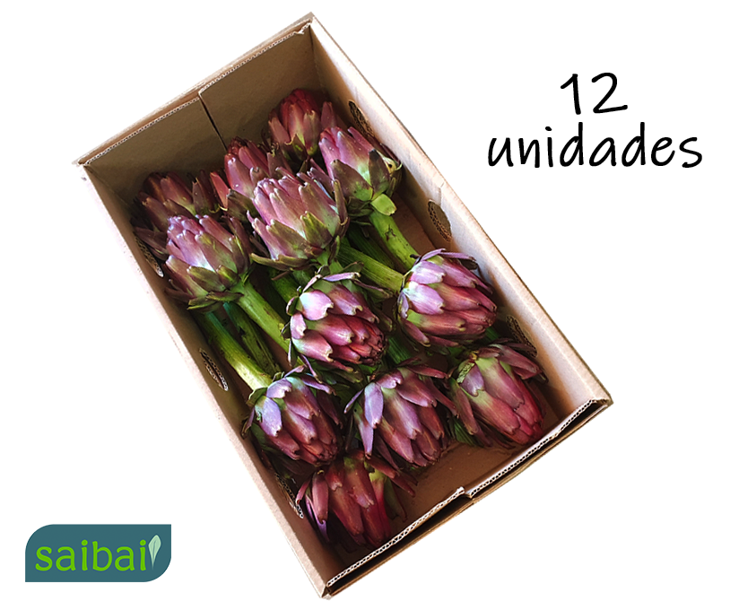 Alcachofra In Natura T12