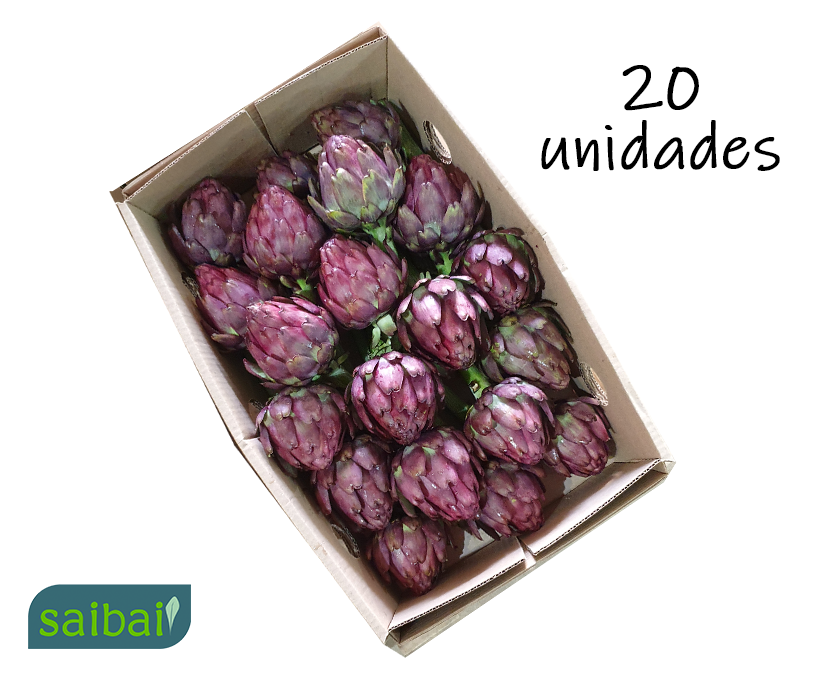 Alcachofra In Natura T20